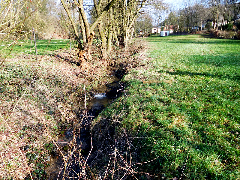 wulferdingser muehlenbach ot wulferdingsen zum jaegerplatz bachverlegung sohlgleite furt am quellbach 02