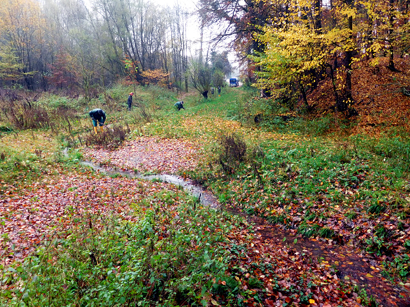 dehmer muehlenbach ot dehme im fuchsloch 14