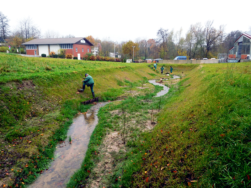 osterbach seitenarm ot lohe koenigshagen offenlegung sekundaeraue sohlgleite 09