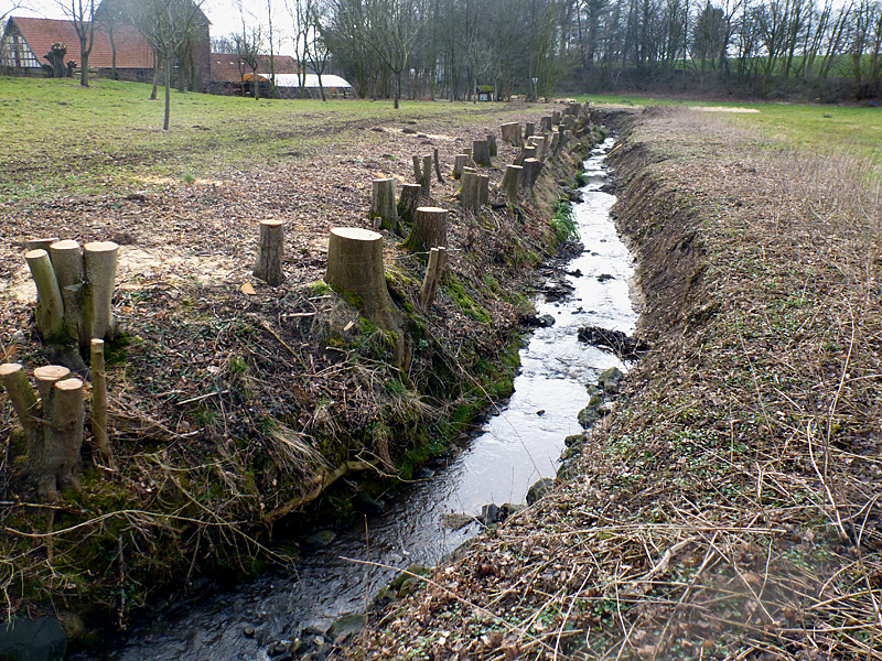 wu mühlenbach bachverlegung 02