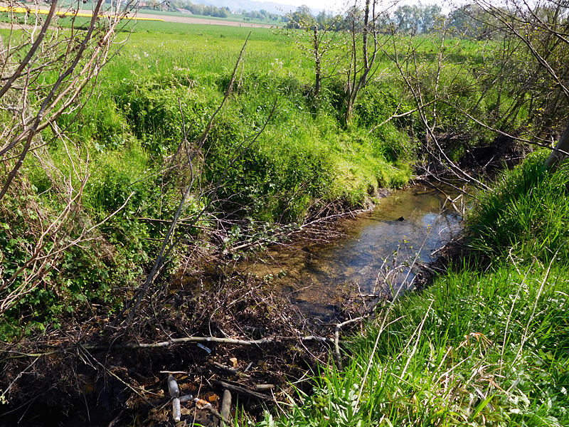 wulferdingser bach ot wulferdingsen oestl hedingser masch bachverlegung in neue sekundaeraue 02