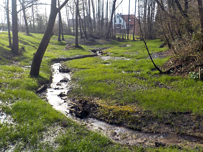 volmerdingser bach westl klein vlotho rueckbau von teichanlagen bachverlegung und furt statt verrohrung 01