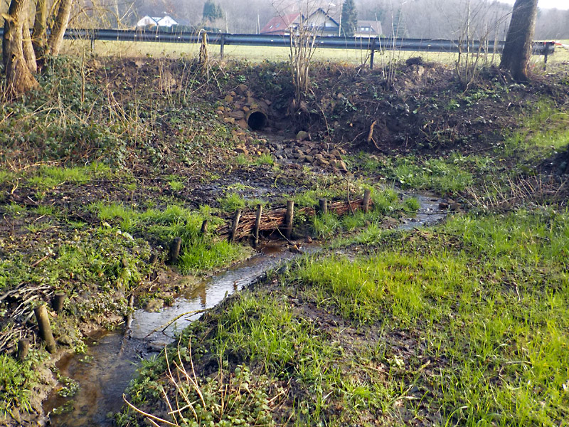 volmerdingser bach westl klein vlotho rueckbau von teichanlagen bachverlegung und furt statt verrohrung 19