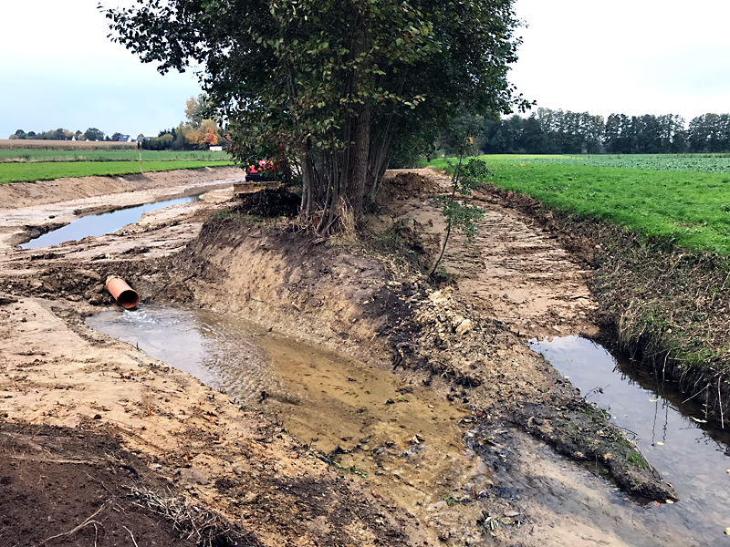 wulferdingser bach oestlich hedingser masch bachteilverlegung in sekundaeraue 02