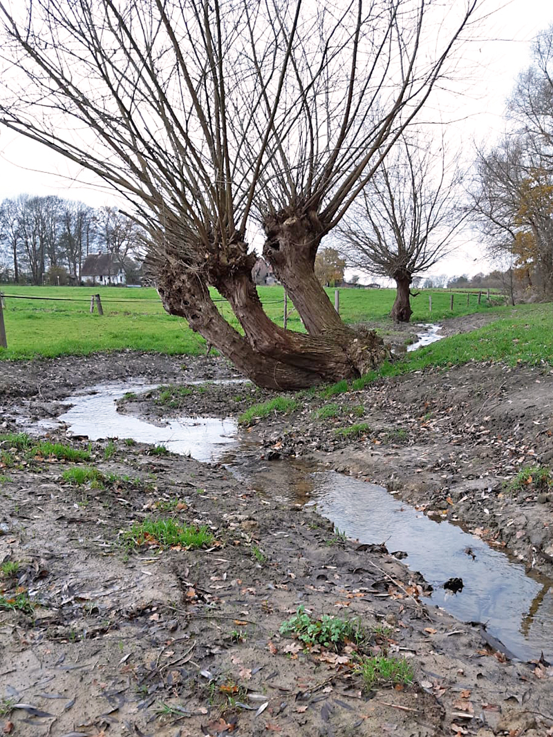 masurenweg massnahmen