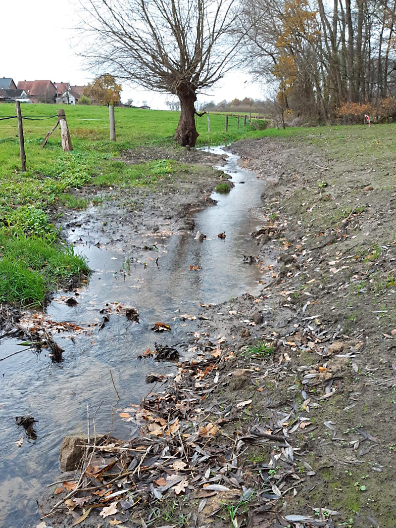 masurenweg massnahmen