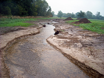 ostbach-semmelweg-10