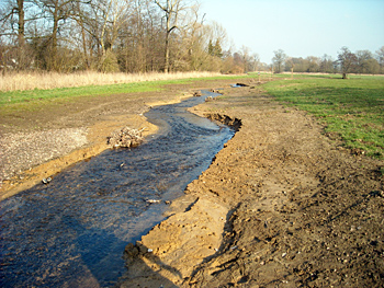 ostbach-semmelweg-13