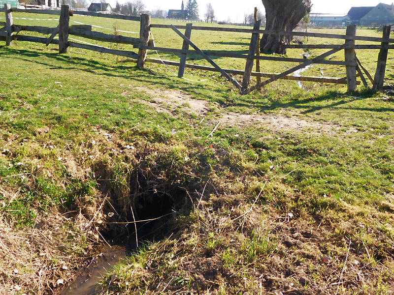 darmuehlenbach suedl im kruempel furt statt verrohrung 02