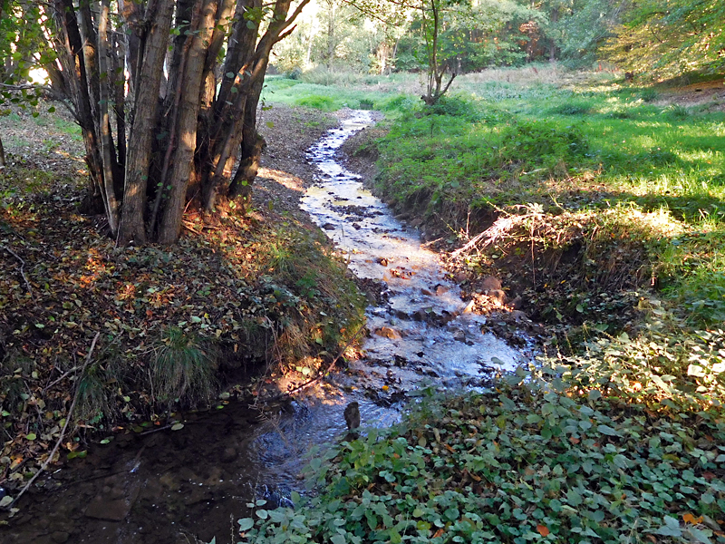 gewinghauser bach duenne am goldsiek bachverlegung furten flutrinne sohlgleite 16