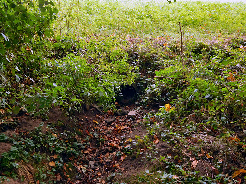 gewinghauser bach hanffeld furt statt verrohrter ueberfahrt 02