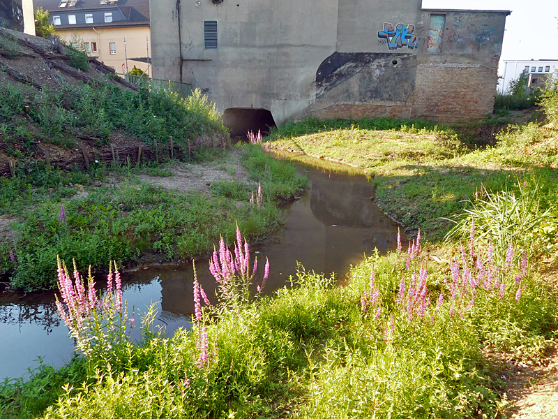 gewinghauser bach nordoestl zum stellwerk bachoffenlegung 01