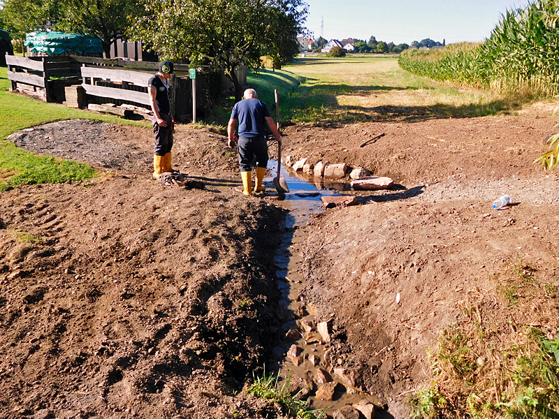 gewinghauser bach suedl im vogelwinkel furt statt verrohrte ueberfahrt 01