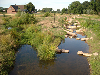 nienburger-fischpass1