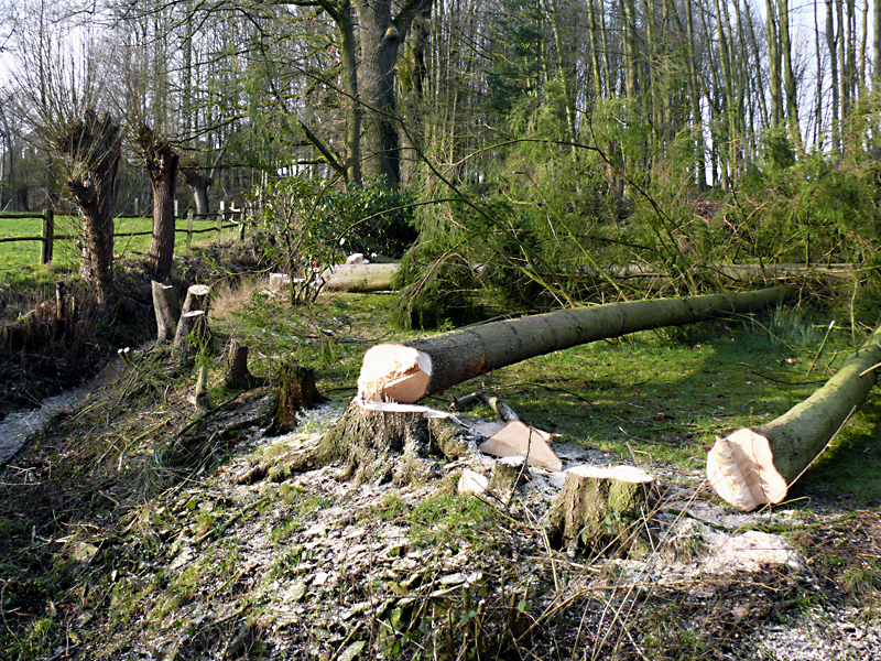 barringer bach entfernen von 2 stauanlagen 02