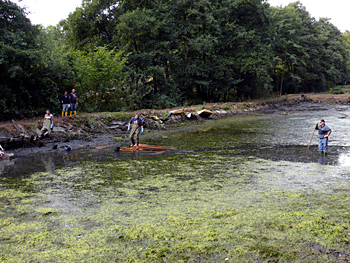 holtbeeke teiche 2011 b04