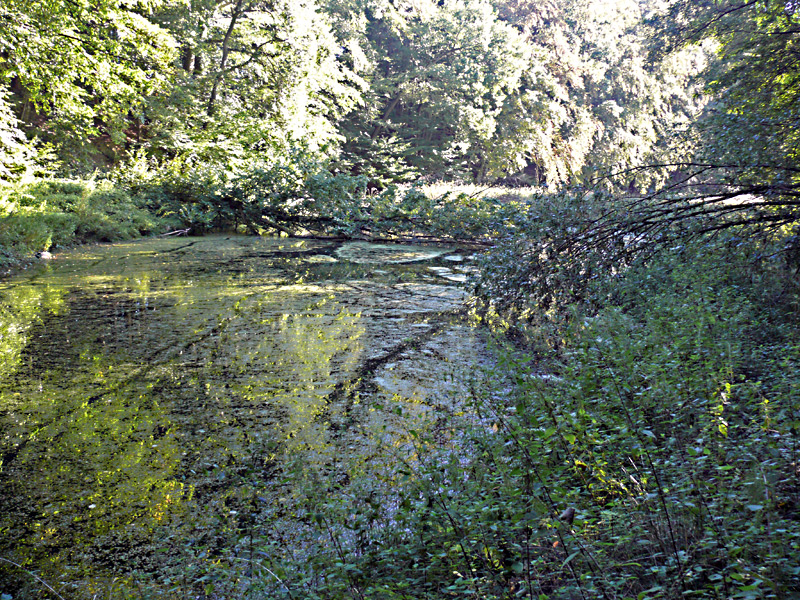 10 Holtbeke Jammertal 2012