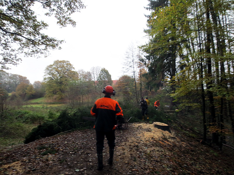 linathsbach k20 oberhalb bultweg linathsweg furt im nsg 01