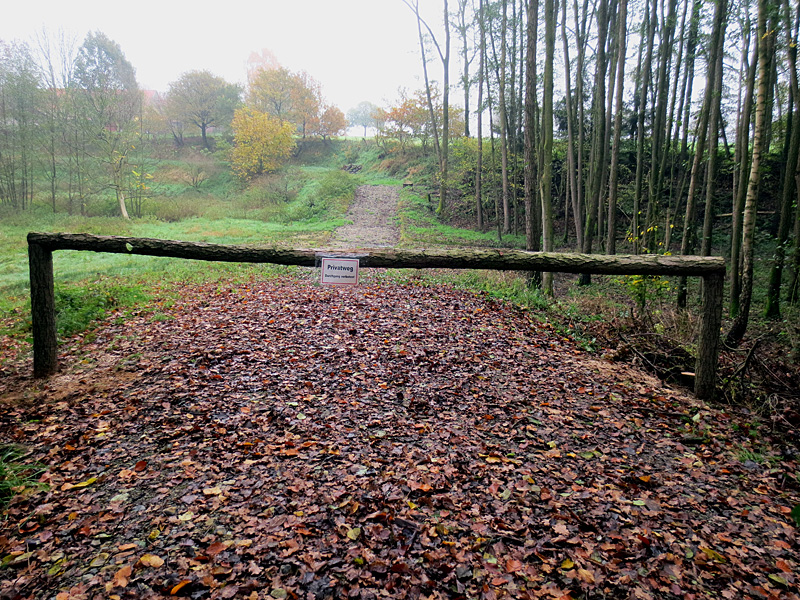 linathsbach k20 oberhalb bultweg linathsweg furt im nsg 13