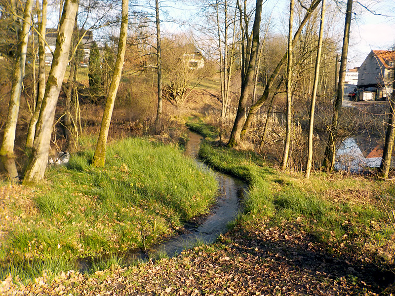 Schierenbeke Tannenhöhe Bachoffenlegung 01