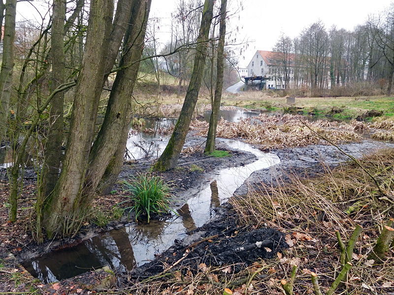 Schierenbeke Tannenhöhe Bachoffenlegung 03