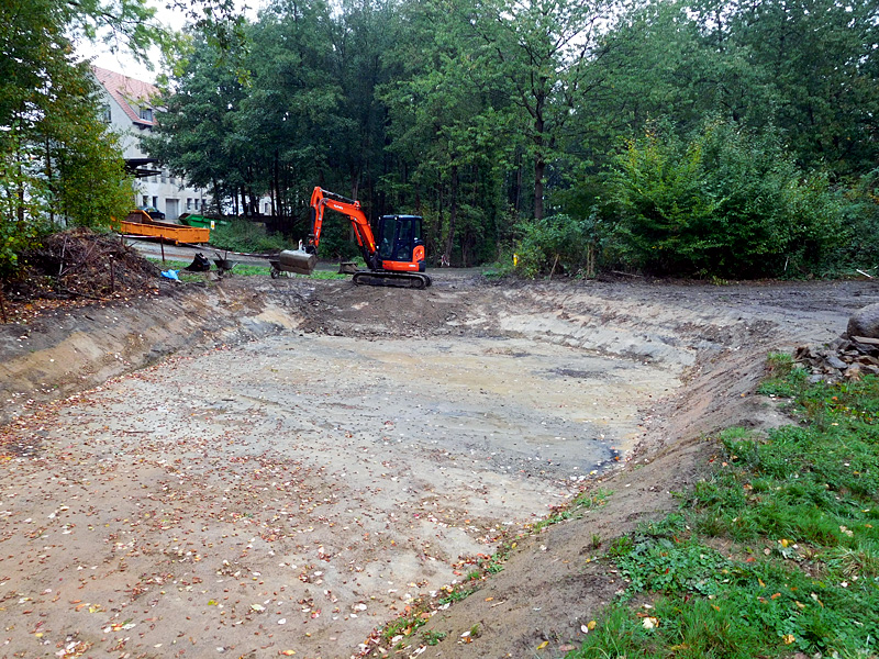 Schierenbeke Tannenhöhe Bachoffenlegung 18