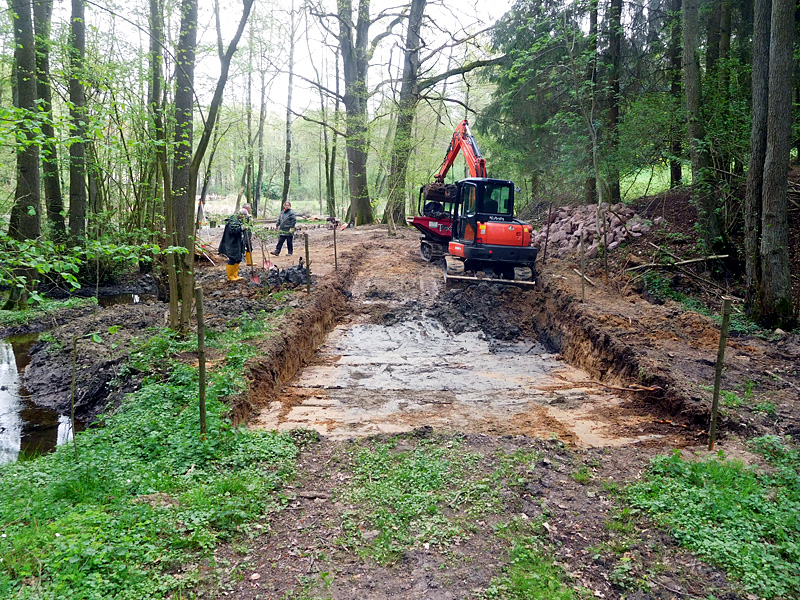 Schierenbeke Tannenhöhe Bachoffenlegung 32