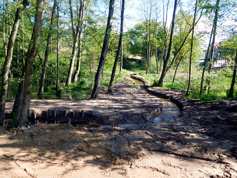 Schierenbeke Tannenhöhe Bachoffenlegung 34