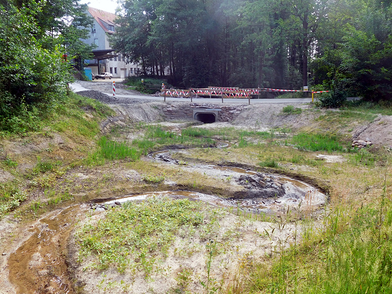 Schierenbeke Tannenhöhe Bachoffenlegung 36