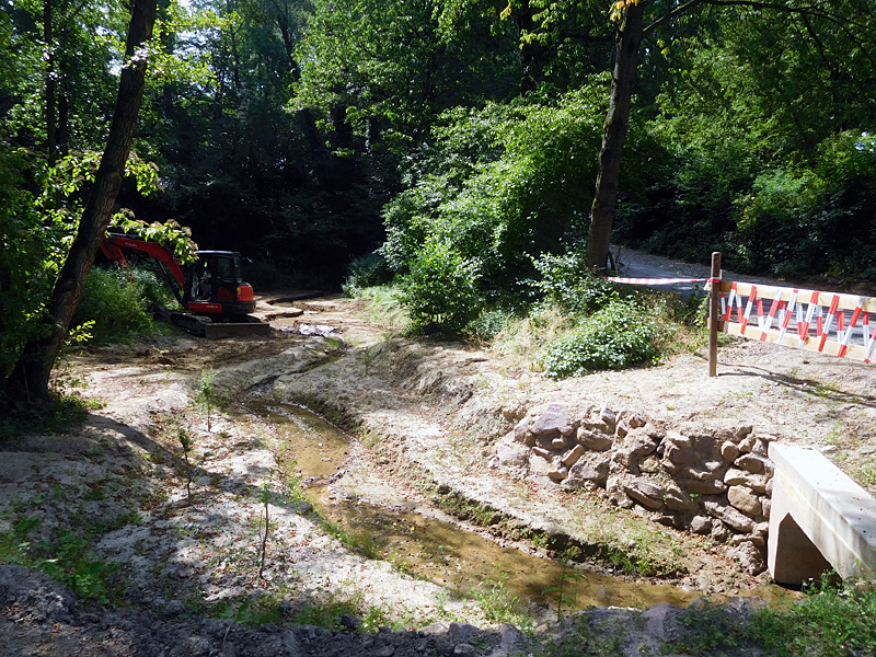 Schierenbeke Tannenhöhe Bachoffenlegung 46