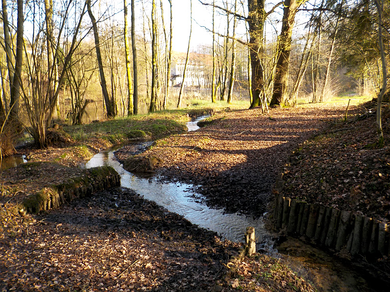 Schierenbeke Tannenhöhe Bachoffenlegung 48