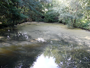 uhlenbach-oefkendiek_3