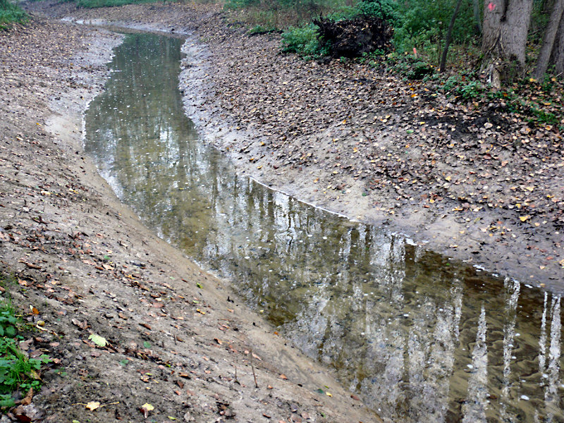 brandbach nsg bustedter wiesen bachverlegung sohlerhoehung und uferabflachung 09