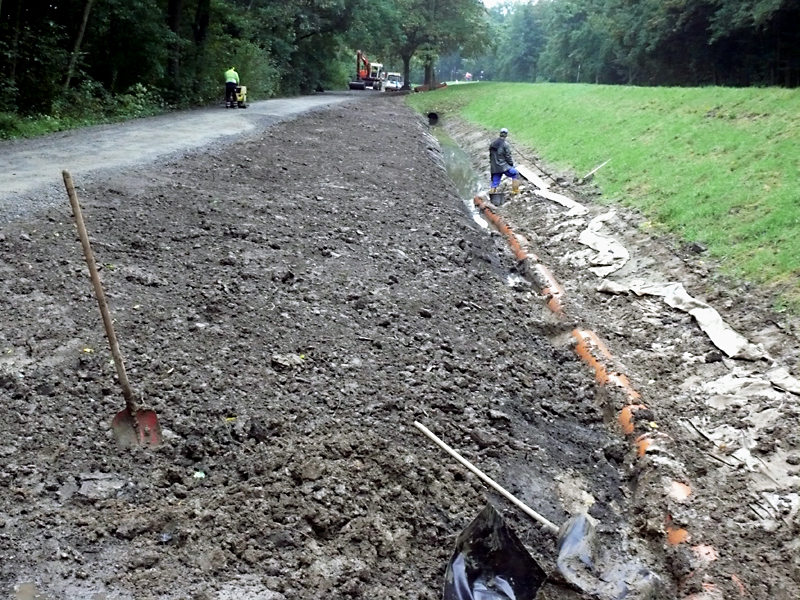 brandbach nsg bustedter wiesen bachverlegung sohlerhoehung und uferabflachung 10