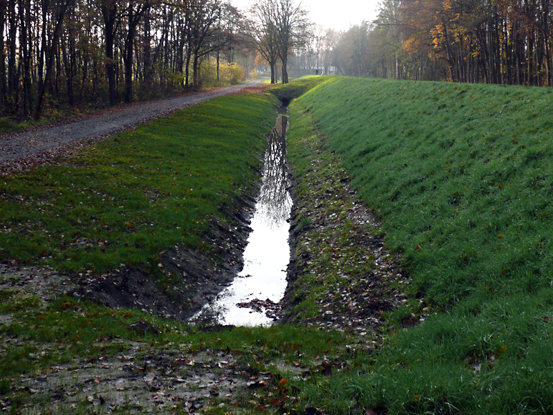 brandbach nsg bustedter wiesen bachverlegung sohlerhoehung und uferabflachung 11