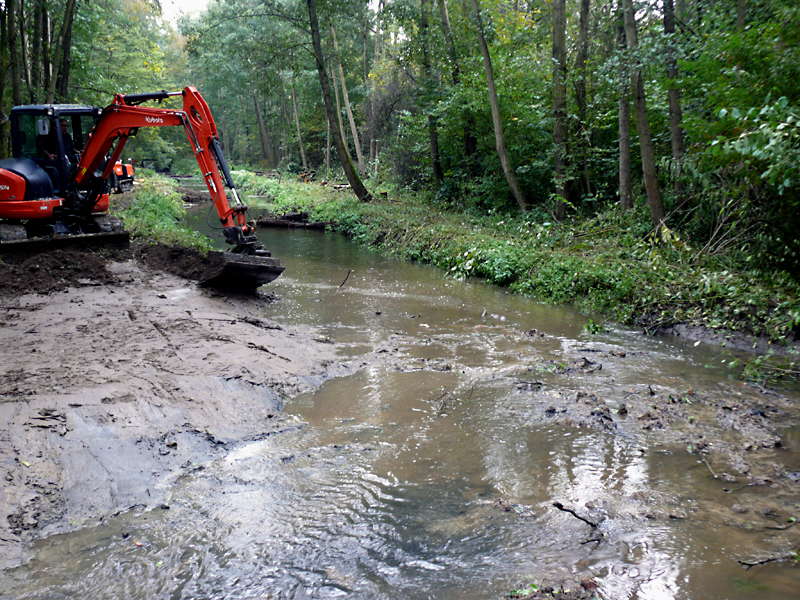 brandbach nsg bustedter wiesen bachverlegung sohlerhoehung und uferabflachung 14