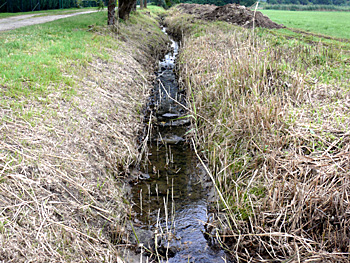 Lippinghauser Bach entlang der „Unteren Wiesenstraße