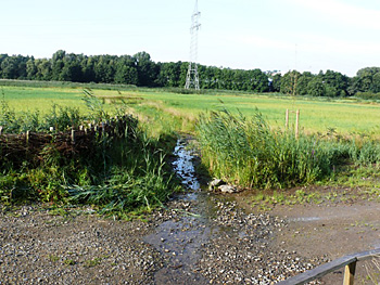 Ansicht im Sommer 2009 bei Niedrigwasser bachabwärts