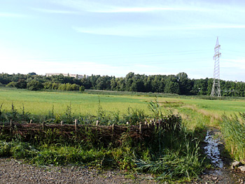 Abgrenzung zur Wiese