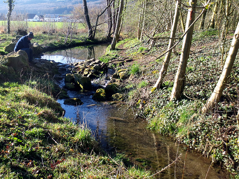 rothenuffelner muehlenbach rothenuffeln kurpark schleifen eines wehres neue sohlgleite optimierung der wasserteilung 01