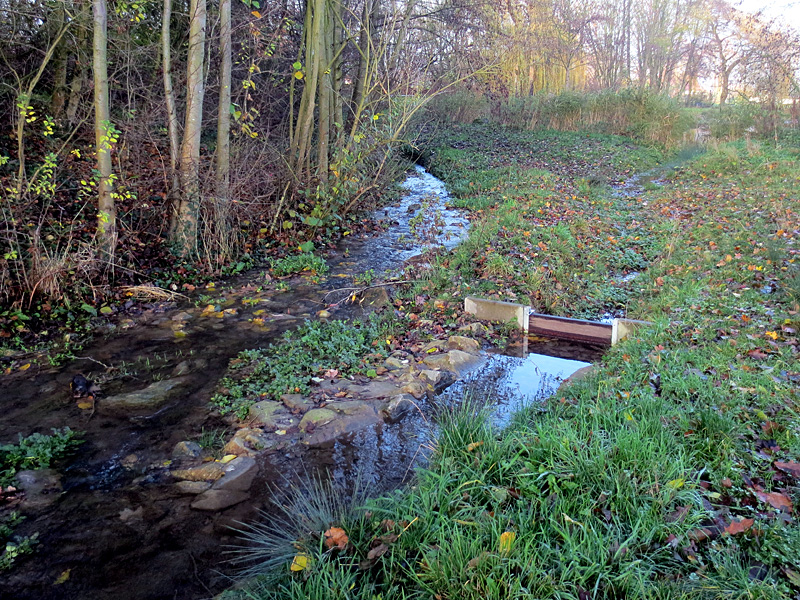 rothenuffelner muehlenbach rothenuffeln kurpark schleifen eines wehres neue sohlgleite optimierung der wasserteilung 09