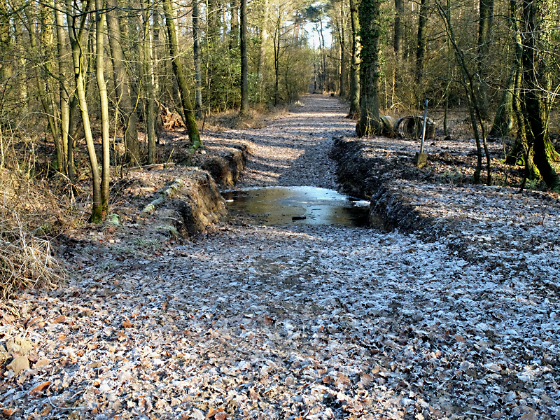 lehmkefluss mindener wald furt 03