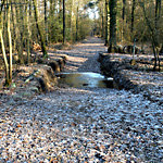 lehmkefluss mindener wald furt thumb