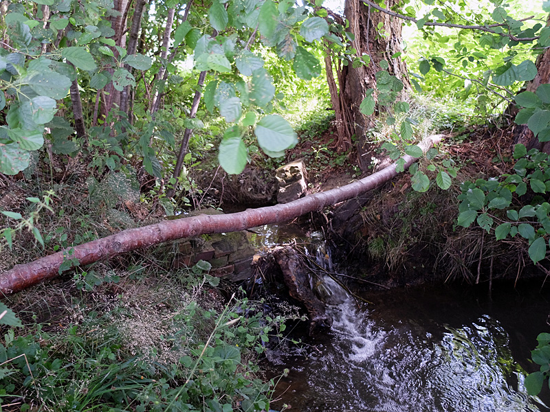 mühlenbach hüllhorst rückbau altes stauwehr 01