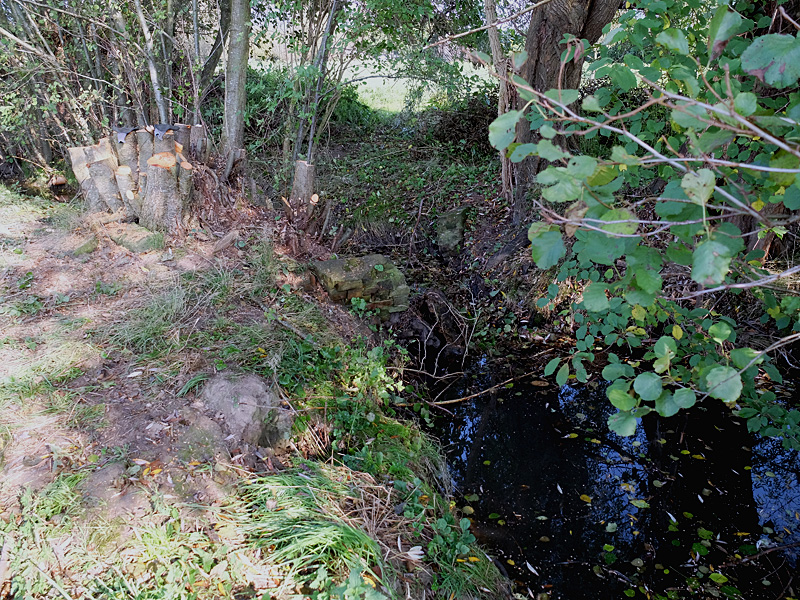 mühlenbach hüllhorst rückbau altes stauwehr 02