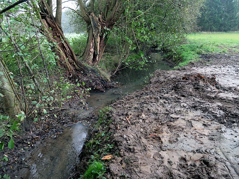 mühlenbach hüllhorst rückbau altes stauwehr 03