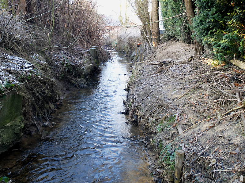 schnathorsterbach tengern wasserprofil 02