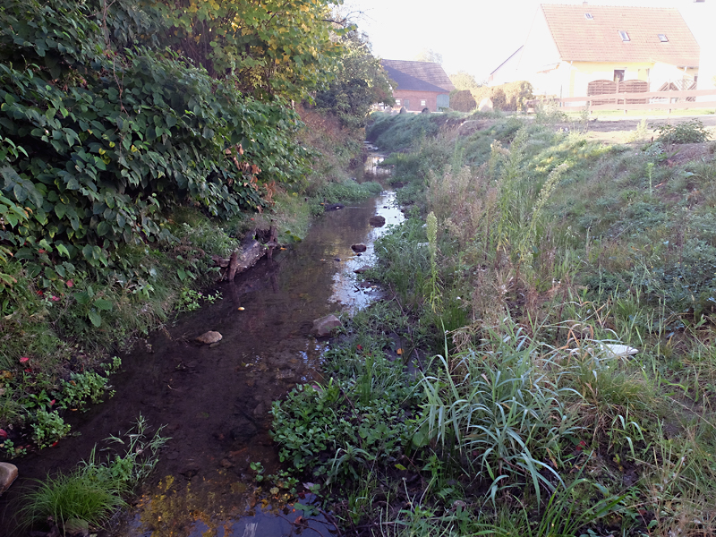 schnathorsterbach tengern wasserprofil 11