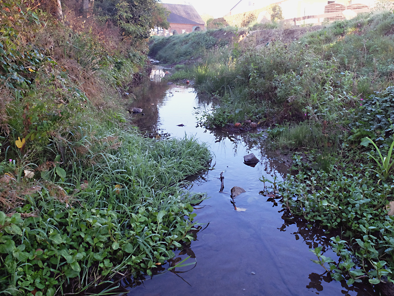 schnathorsterbach tengern wasserprofil 12