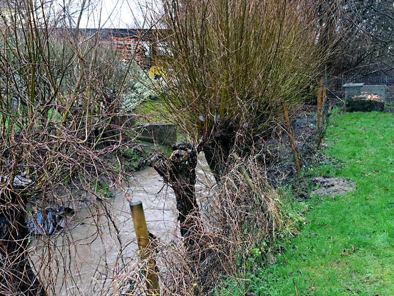 tengerner bach aufweitung 01